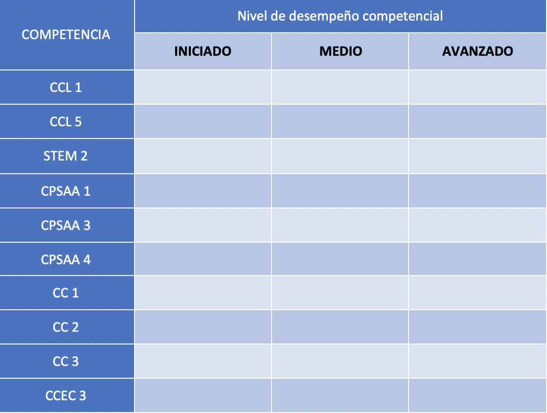 nivel desempeño competencial